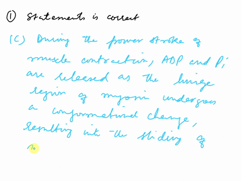 question-1-which-of-the-following-is-a-correct-statement-group-of-answer-choices-a-the-a-band-of-a-sarcomere-appears-light-in-color-when-viewed-under-a-microscope-b-the-tropomyosin-protein-c-35464