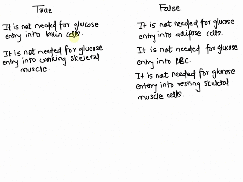 which-of-the-following-statements-about-insulin-are-true-which-of-the-following-statements-about-insulin-are-true-2pts-true-false-it-is-not-needed-for-glucose-entry-into-adipose-cells-it-is-77993