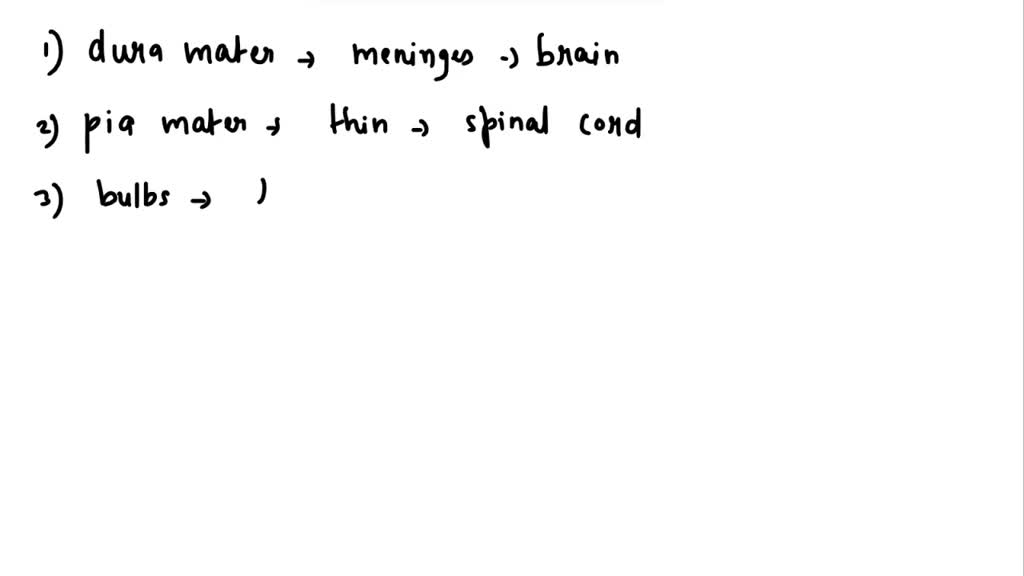 SOLVED: Identify the following external and internal structures on ...