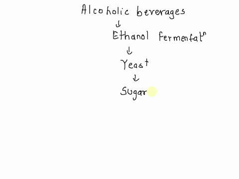 which-of-the-following-microorganisms-is-typically-used-in-the-fermentation-of-alcoholic-beverages-a-propionobacterium-b-lactobacillus-c-rhizopus-d-saccharomyces-86628
