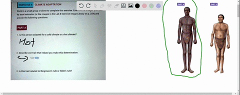 exercise-4-climate-adaptation-work-in-a-small-group-or-alone-to-complete-this-exercise-examine-the-images-provided-by-your-instructor-or-the-images-in-the-lab-8-exercise-image-library-on-p-2-40557