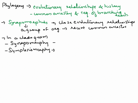 define-what-a-phylogeny-represents-explain-why-only-synapomorphies-shared-derived-trait-indicate-close-evolutionary-relationship-define-and-identify-in-a-cladogram-synapomorphy-shared-derive-01057