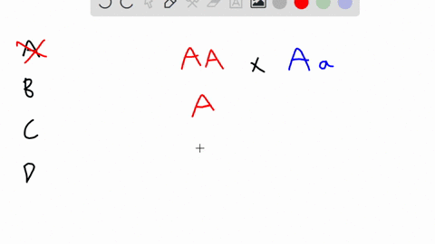 what-are-the-possible-genotypes-of-the-parents-in-a-cross-that-gives-a-11-genotype-ratio-a-aa-and-aa-b-aa-and-aa-c-aa-and-aa-d-aa-and-aa