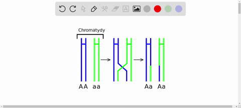 what-does-the-term-recombination-mean-what-are-two-causes-of-recombination-3-92383