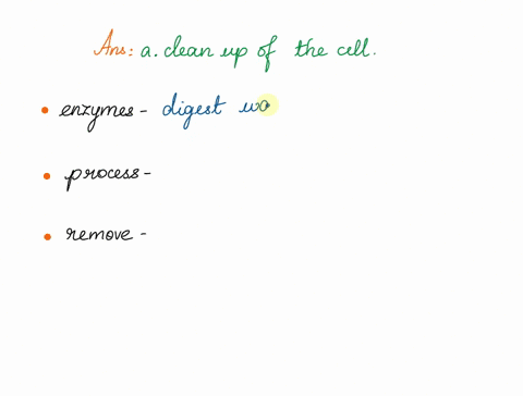 lysosomes-are-responsible-for-a-clean-up-of-the-cell-b-storage-of-nutrients-c-protein-synthesis-16229