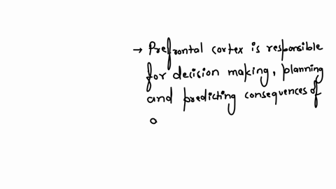 why-do-individuals-with-prefrontal-cortex-damage-often-make-bad-decisions-group-of-answer-choices-they-cant-understand-complexly-worded-questions-they-conform-readily-to-whatever-other-people-are-doin