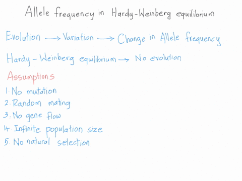 the-frequency-of-alleles-in-a-population-that-is-in-hardy-weinberg-equilibrium-a-changes-in-each-successive-generation-b-is-less-important-than-the-frequency-of-genotypes-c-shows-evidence-of-74019