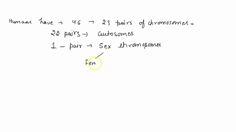 the-number-of-chromosomes-in-human-cells-is-tetraploid-4n-triploid-3n-diploid-2n-polyploid-53853