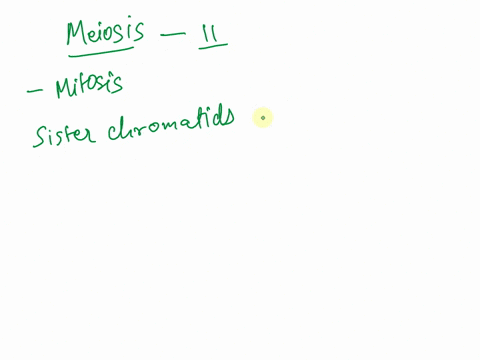 what-part-of-meiosis-is-most-similar-to-mitosis-a-reduction-division-b-interkinesis-c-meiosis-i-d-me-26696