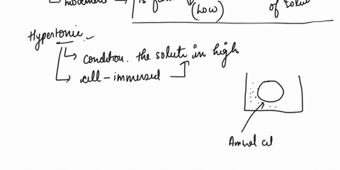define-hypotonic-hypertonic-and-isotonic-what-would-be-the-fate-of-an-animal-cell-immersed-in-each-o-75168