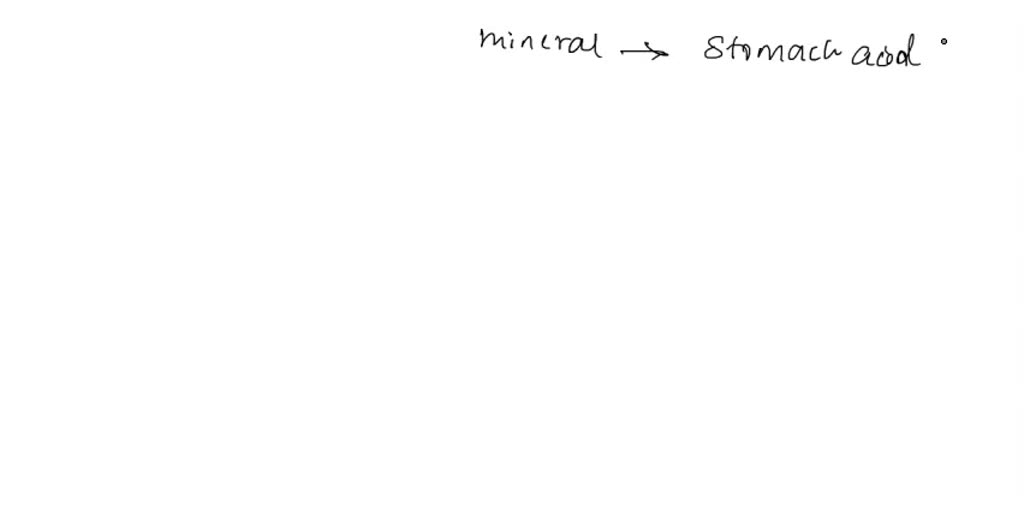 SOLVED Which mineral is a component of stomach acid? a. Sodium b