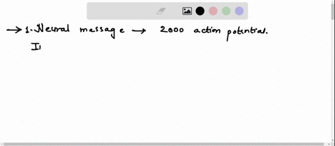one-neural-message-was-sent-with-2000-action-potentials-while-another-was-sent-with-1000-what-can-be-said-about-the-intensity-of-the-message-the-second-action-potential-will-be-much-more-int-13551