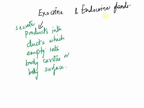 drag-each-label-to-the-correct-box-to-indicate-whether-the-secretion-is-endocrine-or-exocrine-in-natu-exocrine-endocrine-mucus-oxytocin-erythropoietin-sweat-bile-hydrochloric-acid-sebum-prol-76385