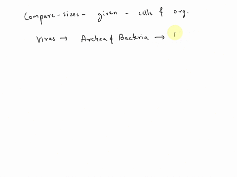 which-statement-correctly-compares-the-sizes-of-different-microorganisms-a-bacteria-are-larger-than-viruses-b-bacteria-are-larger-than-eukaryotic-microorganisms-c-eukaryotic-microorganisms-a-74114
