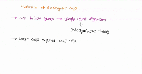the-steps-leading-to-the-evolution-and-establishment-of-a-photosynthetic-eukaryote-as-lineage-occurred-in-which-order-note-all-events-listed-occur-within-an-archean-host-cell-select-one-a-nu-15934