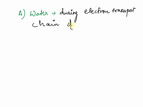 which-one-of-the-following-molecules-is-a-byproduct-of-cellular-respiration-a-water-b-pyruvate-c-glucose-d-oxygen-45405