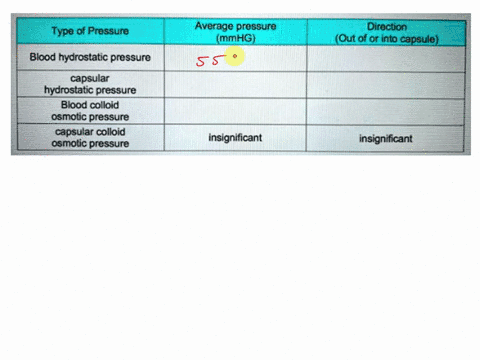 osmotic-pressure-capsular-colloid-osmotic-pressure-blood-colloid-hydrostatic-pressure-capsular-blood-hydrostatic-pressure-type-of-pressure-5fill-in-the-table-regarding-glomerular-filtration-59695