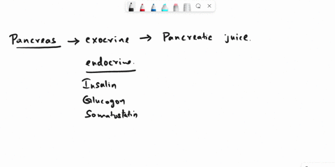 list-the-enzymes-in-pancreatic-juice-96967