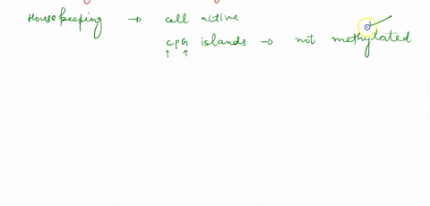 which-of-the-following-statements-is-not-true-dna-methylation-usually-inhibits-gene-expression-housekeeping-genes-are-unmethylated-and-active-in-most-cells-a-repressor-protein-would-inhibite-71881