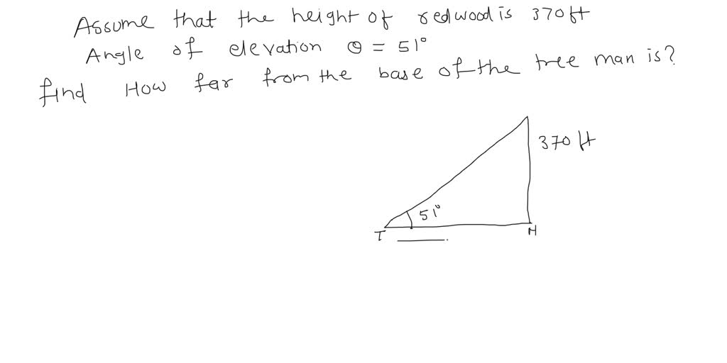 Solved: Assuming That A 370 Foot Tall Giant Redwood Grows Vertically 