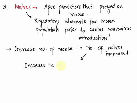 isle-royale-study-wolves-and-moose-3-the-50-year-history-of-the-study-is-divided-into-two-periods-the-first-period-is-the-22-years-before-the-accidental-introduction-of-the-canine-parvovirus-11428