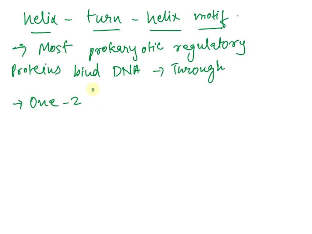 Solved Select All The Statements That Correctly Describe The Helix