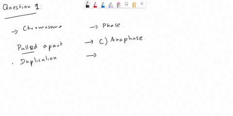 question-match-each-stage-of-the-cell-cycle-with-the-major-events-that-occur-during-that-stage-chromatids-separate-and-are-pulled-t0-opposite-sides-of-the-prophase-cell-b-interphase-chromoso-04627