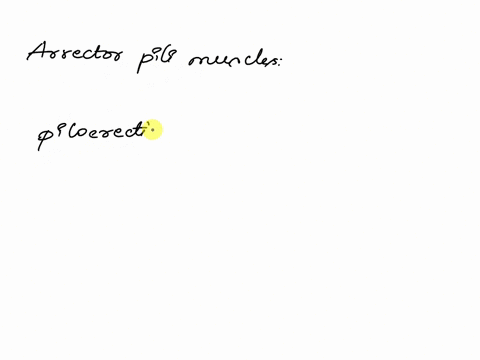 smooth-muscles-that-produce-goose-pimples-when-they-contract-are-the-1-papillary-muscles-2-cuticle-muscles-3-medullary-muscles-4-arrector-pili-muscles-96044