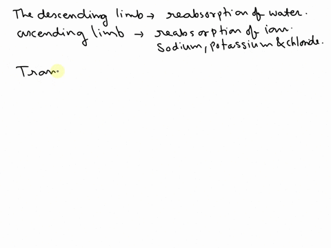 how-is-the-descending-limb-of-the-nephron-loop-different-from-the-ascending-limb-considering-their-2-73283