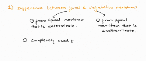 biology-help-1how-is-a-floral-meristem-different-from-a-vegetative-meristem-give-at-least-four-differences-2-explain-how-the-floral-stimulus-which-originates-in-the-minor-veins-of-source-lea-86376