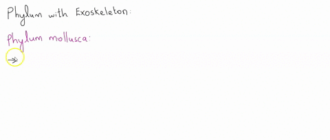 what-is-another-phylum-with-an-exoskeleton-e-63316