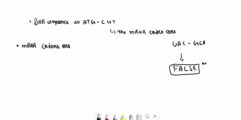 question-15-if-the-dna-sequence-is-atg-cgt-ihe-mrna-codons-are-uag-cgu-true-falso-82688