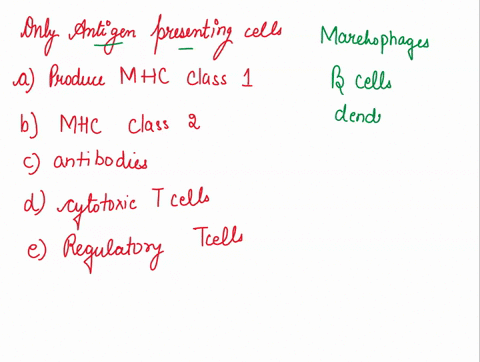 only-antigen-presenting-cells-a-activate-cytotoxic-t-cells-b-produce-mhc-class-il-molecules-c-produce-antibodies-d-activate-regulatory-t-cells-e-produce-mhc-class-molecules-31243