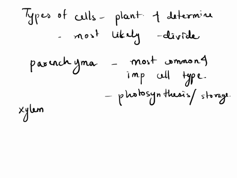 which-of-these-types-of-cells-is-most-likely-to-divide-a-meristem-b-parenchyma-c-xylem-d-epidermis-60382