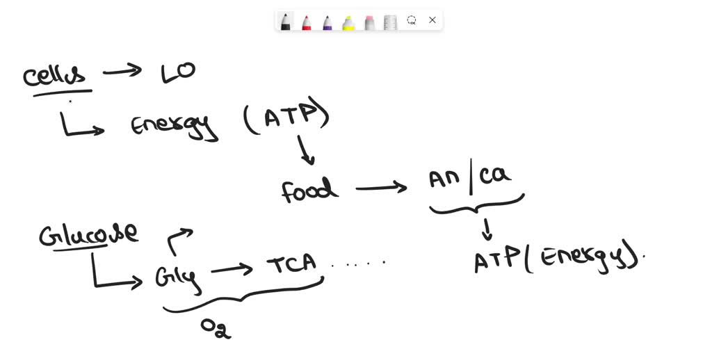 SOLVED: Assertion (A): In anaerobic respiration, one of the end ...