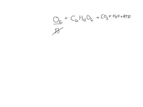 the-cardiac-muscle-uses-aerobic-respiration-to-make-energy-this-means-a-oxygen-and-myoglobin-combine-to-produce-atp-b-atp-is-released-from-glycogen-c-a-reaction-between-oxygen-and-blood-must-occur-to