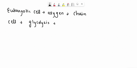 in-a-eukaryotic-cell-when-is-absent-the-electron-transport-chain-cant-run-the-cell-must-rely-on-for-atp-generation-in-this-situation-pyruvate-doesnt-enter-the-mitochondrion-instead-it-enters-22837