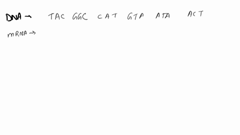 ifthe-sequence-on-the-dna-molecule-calls-for-a-protein-with-the-following-dna-codons-1-what-would-be-the-base-sequence-on-mrna-tnurs-ltic-2-what-would-be-the-base-sequence-on-trna-trr-lachr-16232