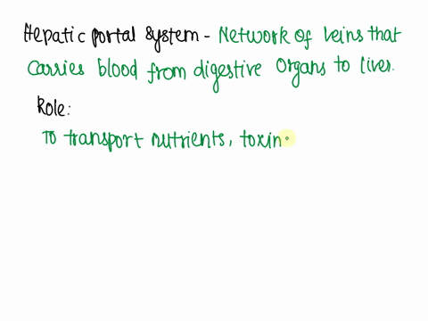 what-is-the-role-of-the-hepatic-portal-system-and-why-is-it-called-a-portal-system-37402