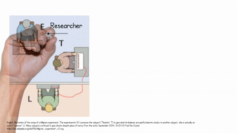 what-questions-about-the-milgram-experiment-did-critics-raise-how-are-todays-experiments-restricted-71403