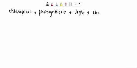 which-organelles-produce-food-select-all-that-apply-chloroplasts-vacuoles-mitochondria-plastids-36906