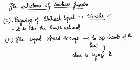 how-is-a-cardiac-impulse-initiated-98957
