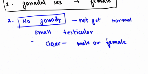 46xx-newborn-has-a-homozygous-ie-both-copies-of-the-gene-has-mutations-complete-loss-of-function-mutation-in-the-aromatase-gene-recall-that-aromatase-is-the-enzyme-that-converts-testosterone-31363
