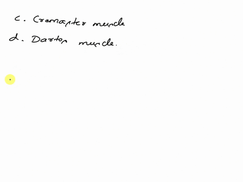 which-of-the-following-muscles-are-using-in-moving-the-scrotum-either-closer-to-or-farther-away-from-the-body-during-times-of-temperature-changes-select-all-that-apply-a-corpus-spongiosum-mu-60622