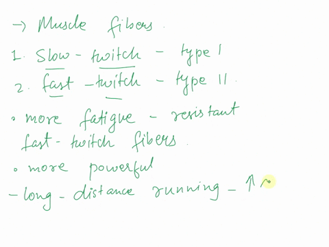 relate-the-types-of-muscle-fibers-to-muscle-performance-and-distinguish-between-aerobic-and-anaerobic-endurance-75171