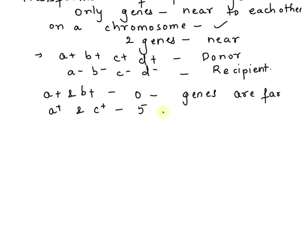 SOLVED: A Bacterium Of Genotype A+ B+ C+ D+ Is The Donor In A ...