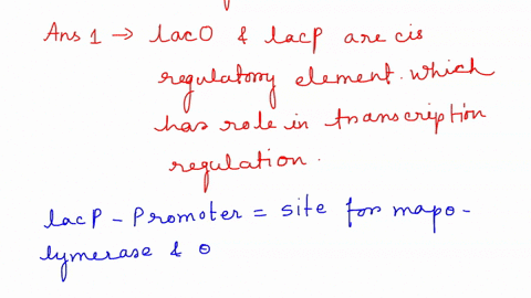 use-the-following-diagram-of-the-lac-operon-to-answer-the-following-questions-any-references-to-proteins-in-the-questions-are-indicated-by-proteins-a-d-in-the-diagram_-regulatory-gene-operon-01906