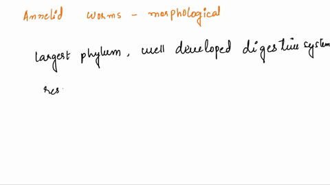 what-is-the-major-morphological-innovation-seen-in-annelid-worms-a-a-complete-digestive-system-b-i-2-45124