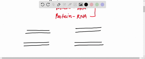 suppose-u-want-to-study-the-interaction-of-particular-protein-to-dna-which-methods-you-will-preffered-a-western-blot-b-northern-blot-c-southern-blot-d-shift-assay