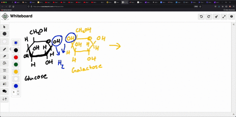 complex-polymers-are-built-from-combinations-of-smaller-monomers-what-type-of-reaction-is-shown-and-what-is-a-product-of-the-following-reaction-assume-water-is-also-produced-a-a-synthesis-reaction-p-2